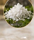 Zinc PCA